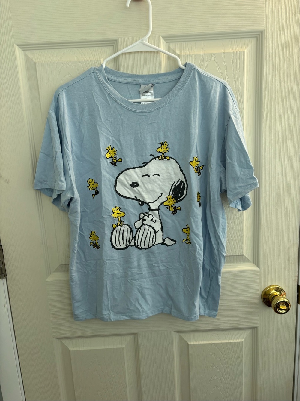 Peanuts Light Blue Snoopy & Woodstock Graphic Dog Tee